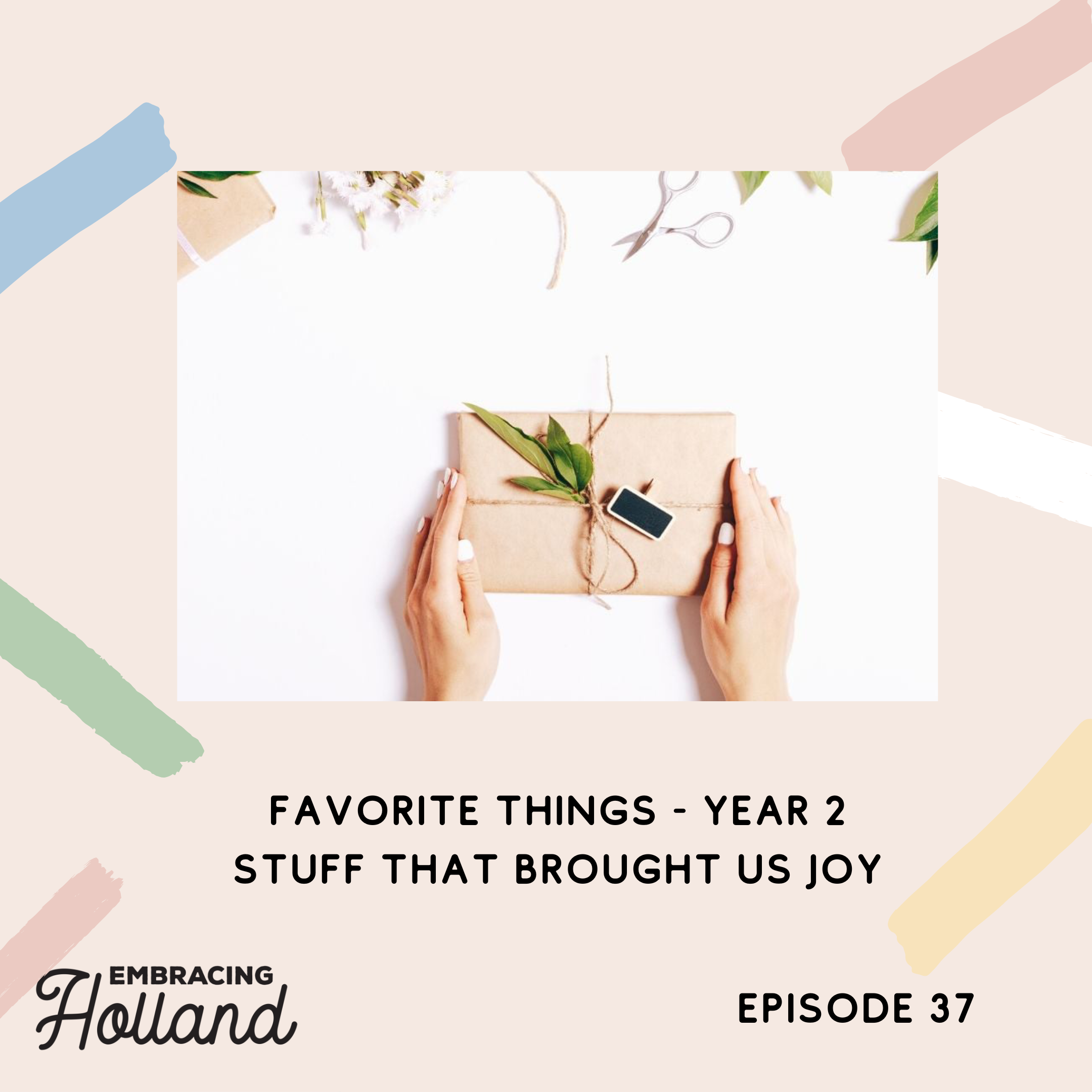 Embracing Holland Episode Graphic (36)