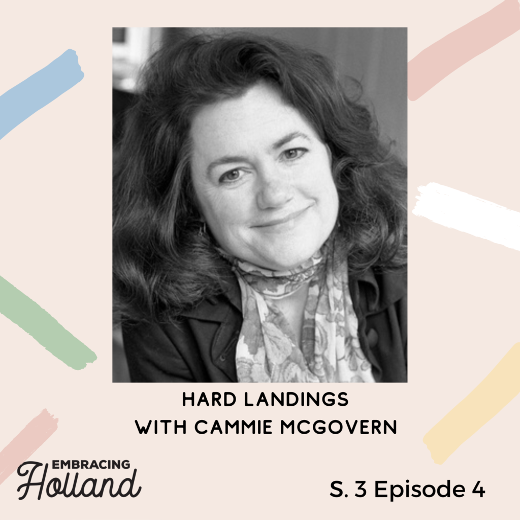 Hard Landings by Cammie McGovern